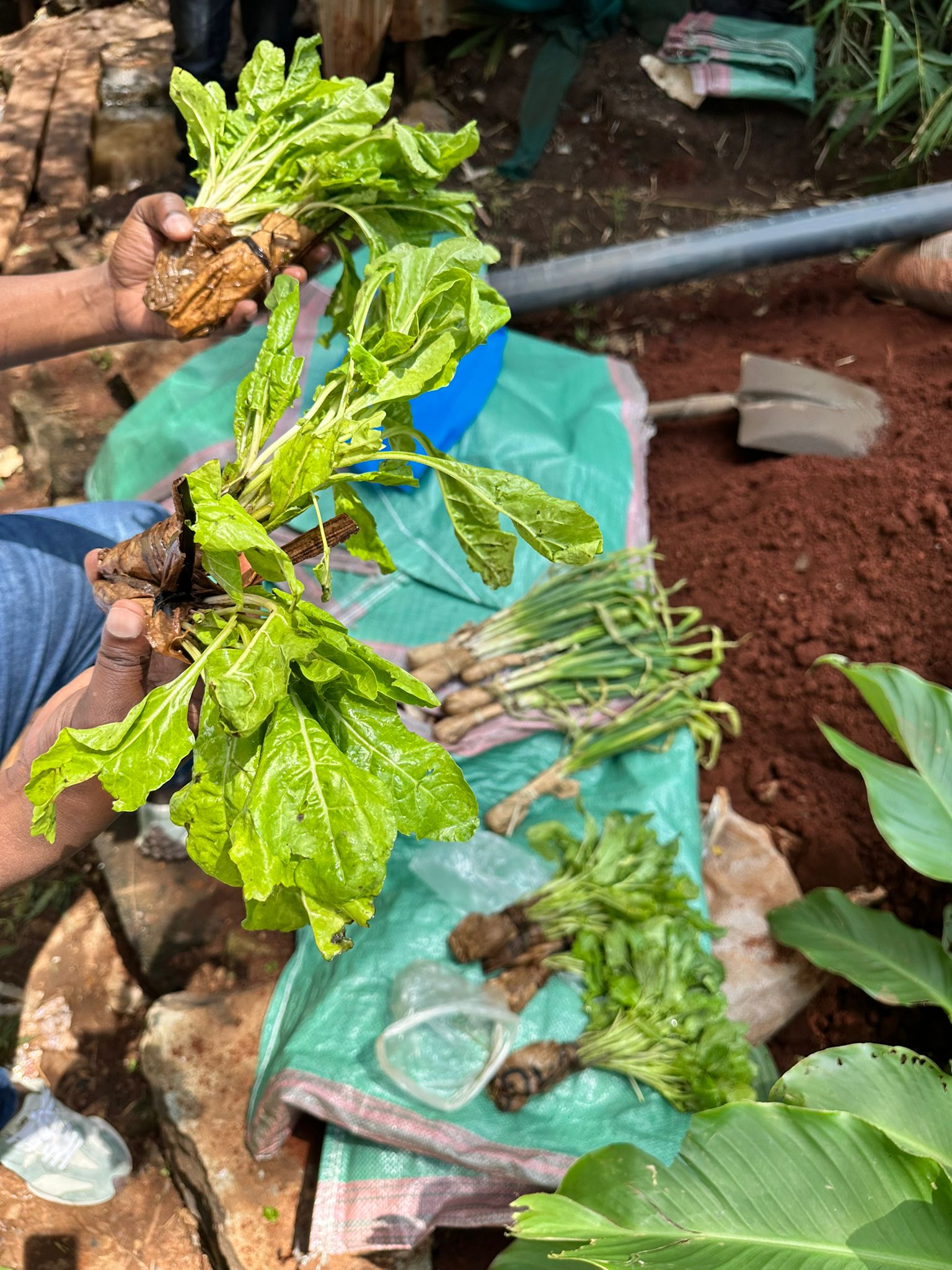 Visitors meeting local residents